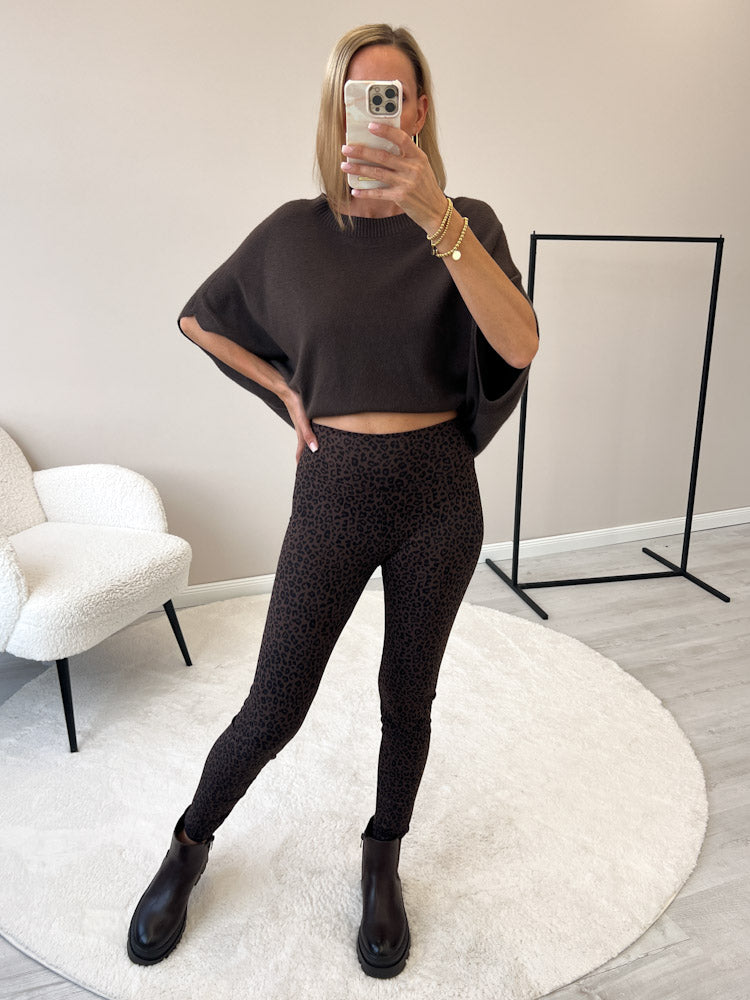 ELEVATED ZEBRA LOOK