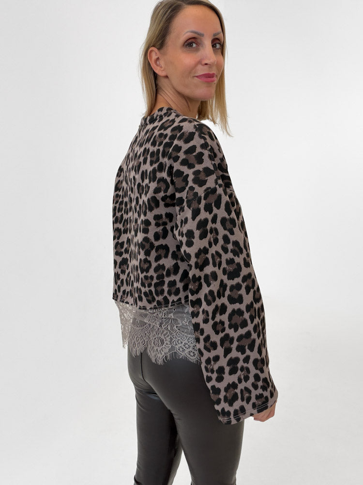 "Faro Leo Lace" stylisches Sweatshirt mit Spitzendetails - mocca